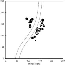 Image result for Englerodendron mengei