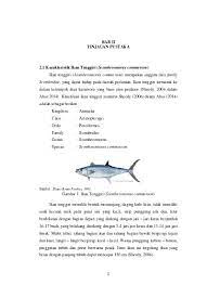 Ikan tenggiri ini biasanya dimasak dengan cara digoreng. 4 Bab Ii Tinjauan Pustaka 2 1 Karakteristik Ikan Tenggiri Scomberomorus Commerson