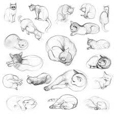 Cats V By Jennomat Cat Drawing Tutorial Cat Sketch Cat Drawing