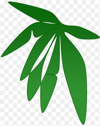 Defending against germs, bacteria and malodors are equally important, and we do all three. Daun Png Images Pngegg