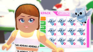 As its respective event has ended, it is currently unobtainable except through trading with other players who own it. How To Get The New Snowy Owl Pet In Adopt Me Roblox Youtube