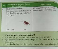 Buku ini ditujukan untuk mengembangkan kemampuan berpikir, bernalar dan keterampilan proses sains. 53 Koleksi Tabel 2 9 Tahapan Metamorfosis Gambar Hewan Dan Tahap Pertumbuhannya Keterangan Terbaik Gambar Hewan