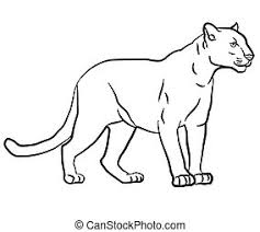 This time i'll be showing you how to draw a puma or mountain lion. Cougar Or Puma Or Panther Or Mountain Lion Or Puma Concolor Vintage Engraving Cougar Or Puma Or Panther Or Mountain Lion Or Canstock