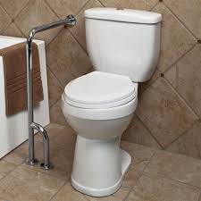 Pickens Wall To Floor Grab Bar Grab Bars In Bathroom Grab Bars Handicap Bathroom