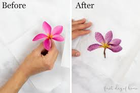 To press flowers, pick the flowers on a hot, dry day to prevent molding, and find a heavy book to press your flowers in, such as an encyclopedia, dictionary, or phone book. How To Press Flowers A Complete Guide For Beginners