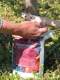 The rule of thumb is that you should continue providing water for a newly planted tree until its roots are established. Fruit Tree Care Watering Fertilizing Stark Bro S