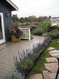 Plus, browse garden pictures full of creative ideas & solutions. Beautiful Lavender Garden Garden Design Traditional Landscape