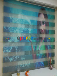 Frozen Elsa Anna Zebra Perde Kiz Cocuk Perdesi Mavi Turkuaz Zebra Anna Perde