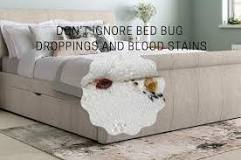 Image result