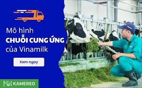 Đánh giá mô hình chuỗi cung ứng của Vinamilk