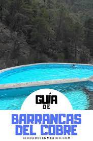 Pin En Lo Mejor De Chihuahua Chihuahua