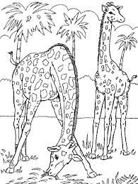 Jouet girafe en papier à imprimer. Estudante Digital Girafa Desenhos Para Imprimir E Colorir