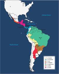 Spanish and portuguese are the two widely. Map Of Latin America Identifying The Sampling Locations Of Jaguarundis Download Scientific Diagram
