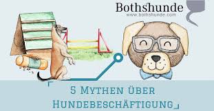 Du kannst beruhigt das haus verlassen und lumpi kann ganz ruhig und gelassen auf deine heimkehr warten, er weiß ja nun, dass du immer zurück kommst. 5 Mythen Uber Die Beschaftigung Von Hunden Bothshunde