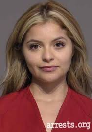 Ericka Navarro Mugshot
