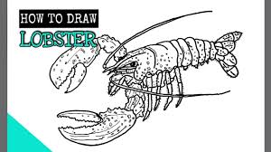 Maybe you would like to learn more about one of these? How To Draw A Lobster Youtube