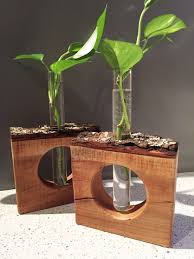 Plant Lover Gift Basejumping Exploring Fishingboats Gift Lover Minnesota Plant Rockclimbing Sailing In 2020 Geschenke Aus Holz Pflanzen Dekor Pflanzen
