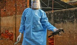 Thousands of birds have died due to different variants of bird flu in himachal pradesh, kerala, rajasthan, madhya pradesh and haryana in india, the disease spreads mainly by migratory birds coming into india during winter months i.e. Over 1 200 Birds Found Dead Across India Up The 7th State To Report Avian Influenza The Week