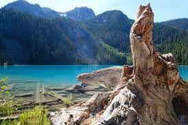 L'encyclopédie canadienne, 26 mai 2020, historica canada. Canada Colombie Britannique Joffre Lakes Le Chameau Bleu