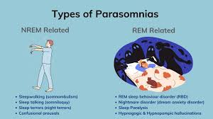 Image result for Parasomnia