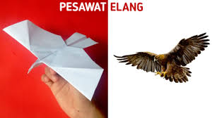 We did not find results for: Cara Membuat Pesawat Burung Elang Terbang Lama Youtube