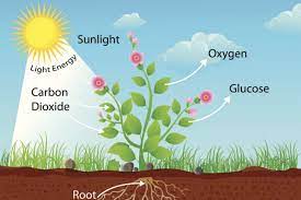 This difference is known as the concentration gradient. What Is Diffusion