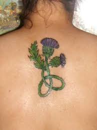 Find the perfect name for german shepherds, pitbulls, rottweilers, and more. Thistle Tattoo Scottish Thistle Tattoo Scottish Tattoos