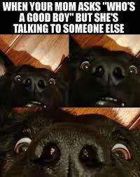 14 Funny Labrador Memes That Will Make You Smile Page 2 Of 3 Petpress Funny Animal Memes Funny Dog Memes Labrador Funny