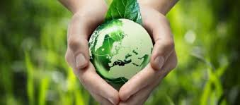 Biodegradabilidad es la capacidad de un material de ser biodegradado, es un proceso natural en el que un material por acción 