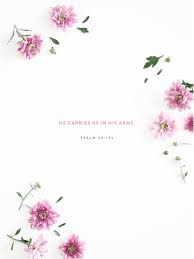I love my crazy lifestyle, and i love my hard discipline. Iphone Floral Bible Verse 1536x2048 Wallpaper Teahub Io