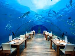 1,358 likes · 3 talking about this · 1,051 were here. 7 Underwater Restaurants And Bars Around The World Conde Nast Traveler