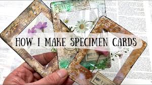 Choose your own color scheme, background and font combination that perfectly translate your card's theme or purpose. How To Make Specimen Cards Youtube Cards Diy Easy Vintage Junk Journal Cards