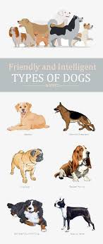 25 List Of All Time Best Types Of Dog Breeds With Pictures