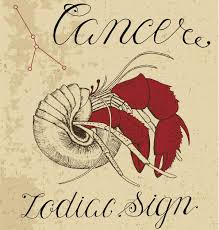 These two zodiac signs are on different wavelengths and move at different speeds. Which Zodiac Signs Are Compatible With Aries Taurus Cusps Astrology Bay