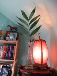 Women, sexuality and the catholic church, and putting away childish things, and more on thriftbooks.com. The Wild Reed Holy Week 2020