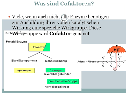 It also functions as an antioxidant in cell membranes and lipoproteins. Cofaktoren Und Coenzyme Ppt Video Online Herunterladen