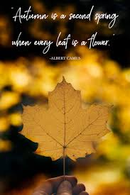The quote comes from near the end of the film. 40 Inspirational Leaf Quotes For Nature Lovers Walk My World