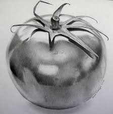 The drawings are very realistic and truly amazing. Pencil Easy Vegetables Drawing