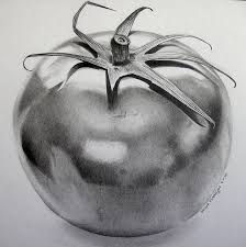 See more ideas about fruits drawing, fruit painting, fruit art. Pencil Easy Vegetables Drawing