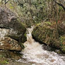 We did not find results for: Revisoes Para Cascatas Santo Tirso Em Refojos De Riba De Ave Porto