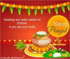 To my great brother, happy pongal and do well! Greetings And Warm Wishes For Pongal To You And Your Family Happy Pongal Greeting Card