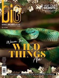 Foong's malaysia cyber, electronic evidence and information technology law. Big Magazine April June 2021 By Chmp Media Issuu