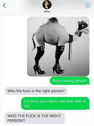 The camelid, which has been given the name tribocus camelus, is currently a biological enigma. Who Is The Right Person 9gag