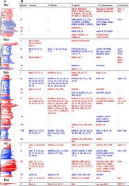 Firma sprzątająca k&s associates od kilku lat efektywnie funkcjonuje na wielkopolskim rynku usług sprzątających. Comparative And Evolutionary Analysis Of Genes Encoding Small Gtpases And Their Activating Proteins In Eukaryotic Genomes Physiological Genomics