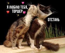 Rocket record lets you perfect your russian pronunciation. Russian Memes United On Twitter I Love You Torch Lamp Get Lost