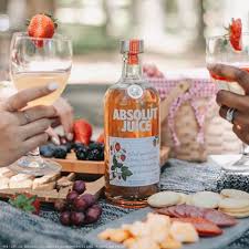 The tart cranberry shrub gives new life to vodka's neutral flavor. Absolut Vodka Introduces Absolut Juice With Real Fruit