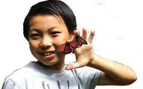 DVIS Annual Report 2021-22 by DVIS Tulsa