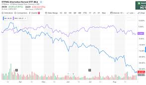 Addressing Cannabis Stock Declines Canopy Growth And