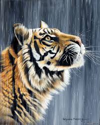 Dikaya Koshka Tigr Tiger Art Tiger Painting Tiger Artwork