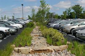Grow Native Natives Filter Runoff And Protect Streams Love To Do Something Like This Pic Minus The Park Rain Garden Rain Water Collection Landscape Design